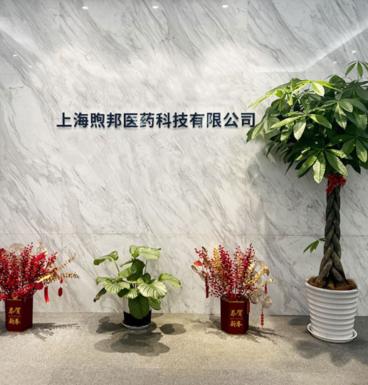 上海煦邦医药科技有限公司
